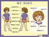 Строение тела человека. My body. Наглядное пособие по английскому языку для начальной школы